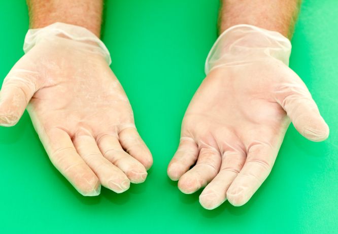 Vinyl clear powder free gloves in Gujarat